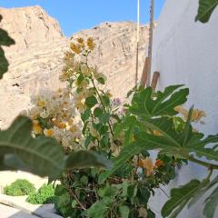 Wadi guest house