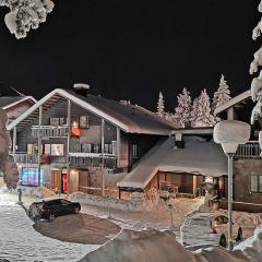 Levin Stara C 14 Visit Levi