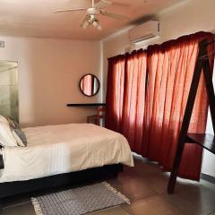 Warthog Wallow - Kruger National Park Phalaborwa