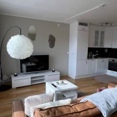 Great 1-bedroom apartment