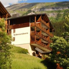 Schwarzhorn 3- komplett renoviert, tolle Aussicht!