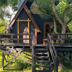 Casa Alpina del arbol