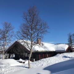 Authentic Cabin Overlooking Lake Møsvann