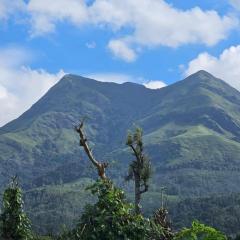 Mistyloft by East West