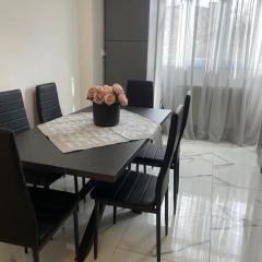 Apartamentul lui Radu