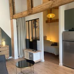 Logement neuf tout équipé avec terrasse, proche du bourg et des plages océanes, climatisé, WIFI, parking, linge et ménage compris, proche des commerces ouverts toute l'année