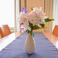 Zur schönen Aussicht - FW 7