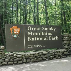 Otter Be Swimming by American Patriot Getaways