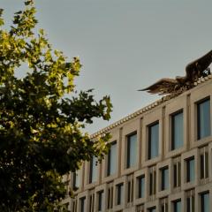 The Chancery Rosewood