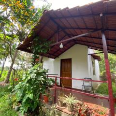 Coorg jungle Cottage