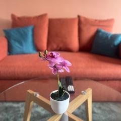 Boulevard du Roi René