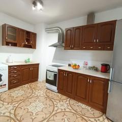 The City of Fountains Vitosha View