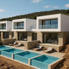 Step into a world of nature One Room Private Suite shared pool