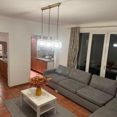 L'Appart Grenoblois ville et nature