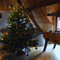 Cottage Mackinley, séjour convivial, jeux, grand sapin de Noël, et contes,15 pers, Centre Historique, gare TER
