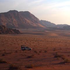 Camp in the natural reserve & tours