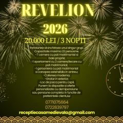 Boutique Hotel Casa Medievala