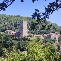 Chambre avec salle d'eau privée