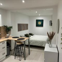 Cocon charmant au coeur d'Auxerre