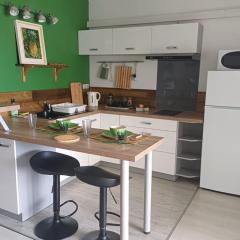 LA PERLE VERTE studio Papeete