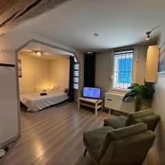 Charme et Histoire à Avignon