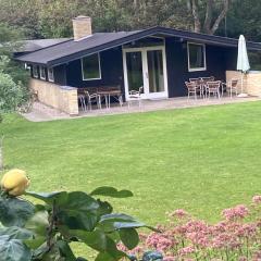 Nostalgic 1960S Idyll