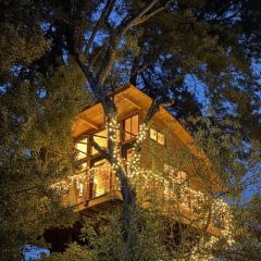 Casa del Árbol Sesquile