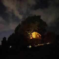 Casa del Árbol Sesquile