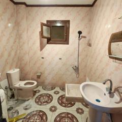 قرية النورس