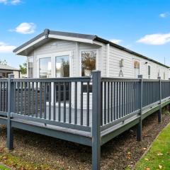 Vacant Nests Seton Sands Kings Barns Starlink