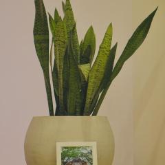 White House Group - Luxury Apartments, Matara City