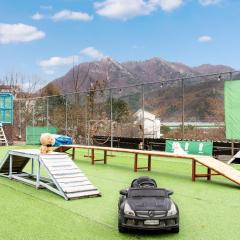 Chuncheon Dogandstay