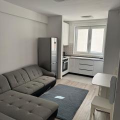 Apartament 1,5 km de centru