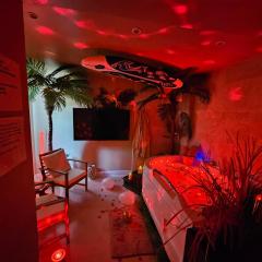 L'Oasis appart 60m2 SPA privatif 20 min Lille ou Arras