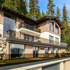 Premium Alpin Chalet Dachsteinhaus