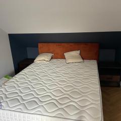 Loft industriel - hyper centre cambrai