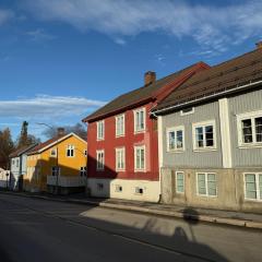 Sentrumsnær leilighet i Lillehammer