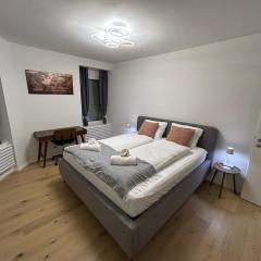 Jasminkas Host 3 - Stadtwohnung mit Küche & gratis Parkplatz