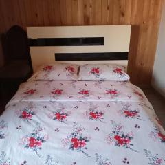 Bright & Spacious Family House