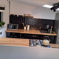 Modern Karolew Apartment