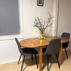 Norway Lights center of Bodo near Train station and Aeroport