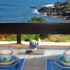 Joli d'Oli, pieds dans l'eau, Port Vendres, Collioure proche toutes commodités