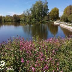 Les chalets au bord de l'étang de Malleteix