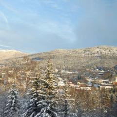 Trysil turistesenter hytte