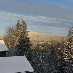 Trysil turistesenter liten leilighet