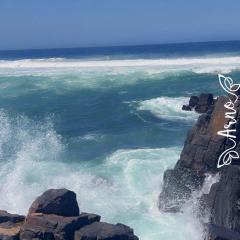 Holiday Accommodation by the sea