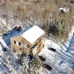 Sauna & Pool Table - Nordik Attitude