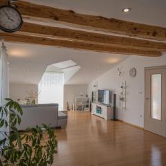 Freistehende Villa Iva Grubine Mit Privatpool