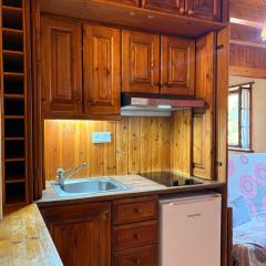 Tranquilidad en apartamento rústico con parking - Aigüestortes 3