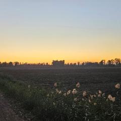 Casa Botanica Boho Chic